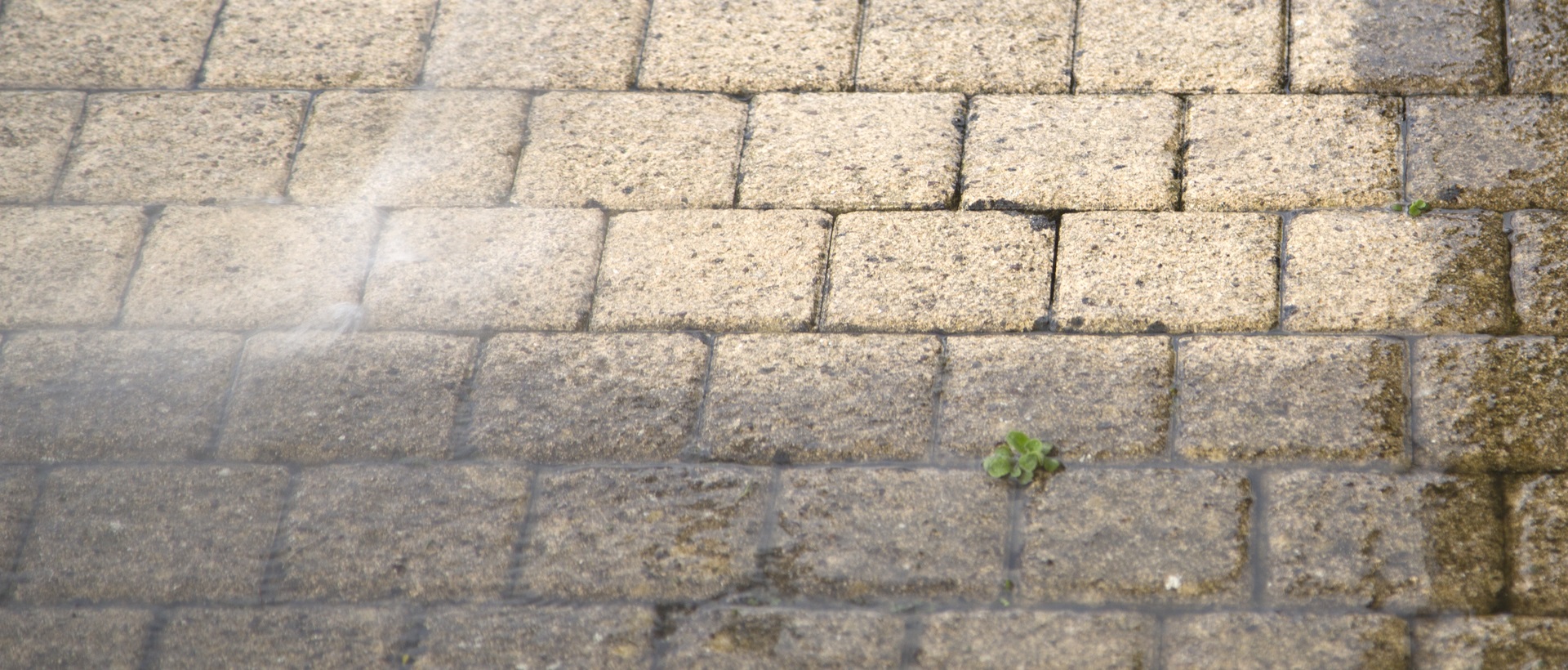 flagging and patios SW15